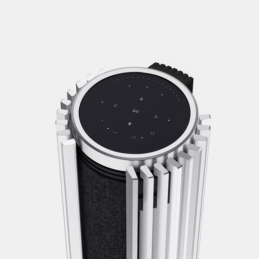 BeoLab 28 Aluminium Cover - Silver