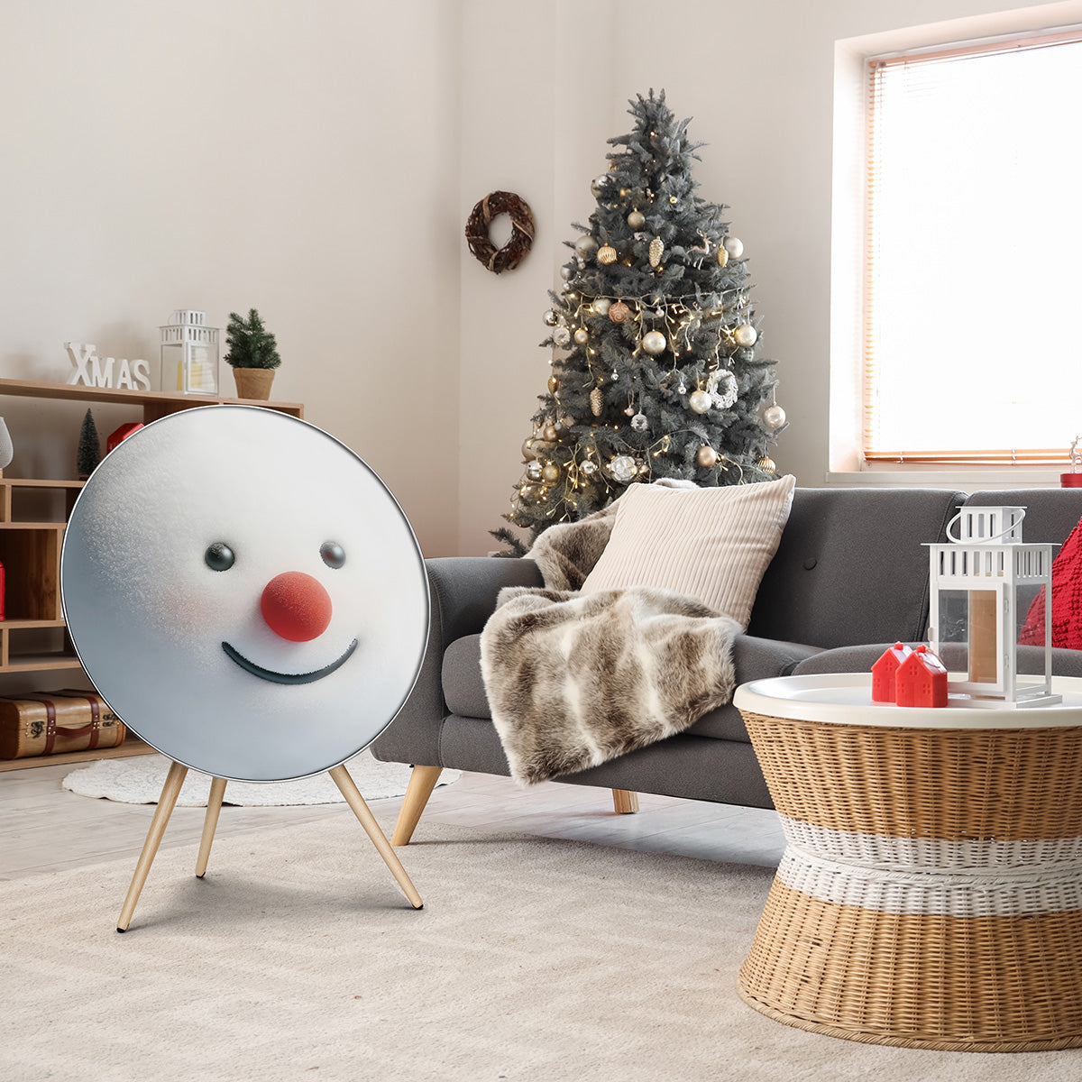BeoPlay / BeoSound A9 - Frosty Joy