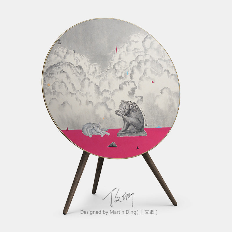 BeoPlay / BeoSound A9 Cover - Rest