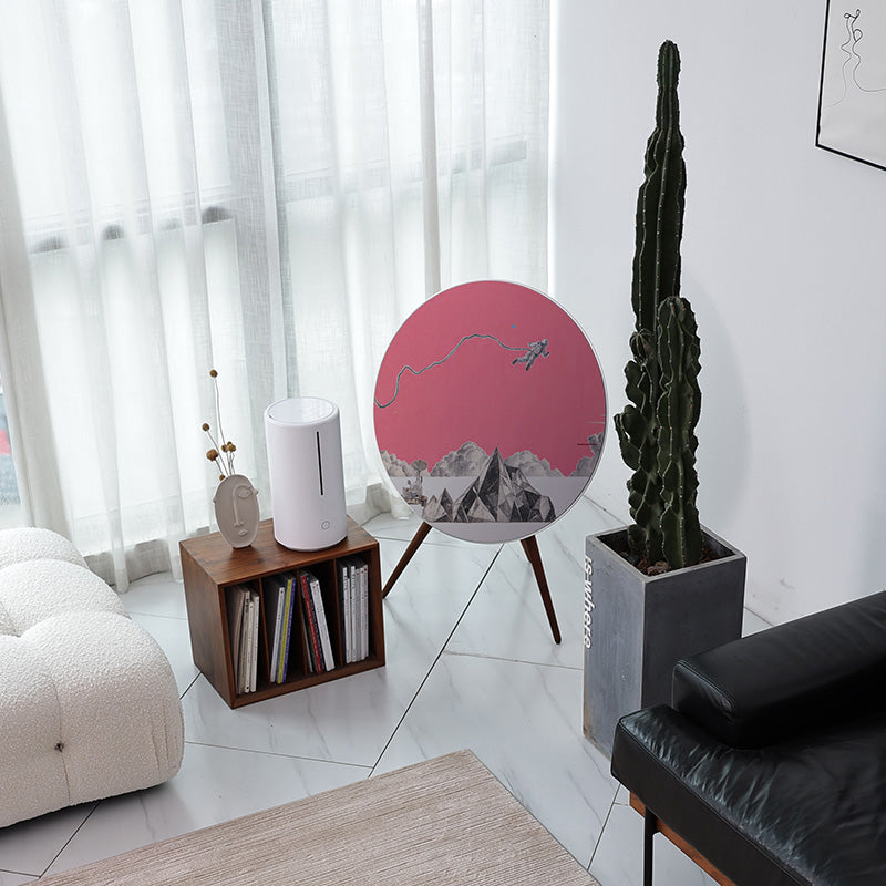 BeoPlay / BeoSound A9 Cover - Tracing Back