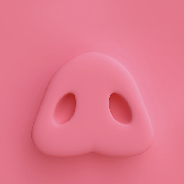 BeoPlay A9 Cover - Pink Nose