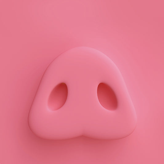 BeoPlay A9 Cover - Pink Nose