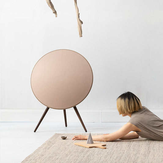 BeoPlay / BeoSound A9 Cover - Brown