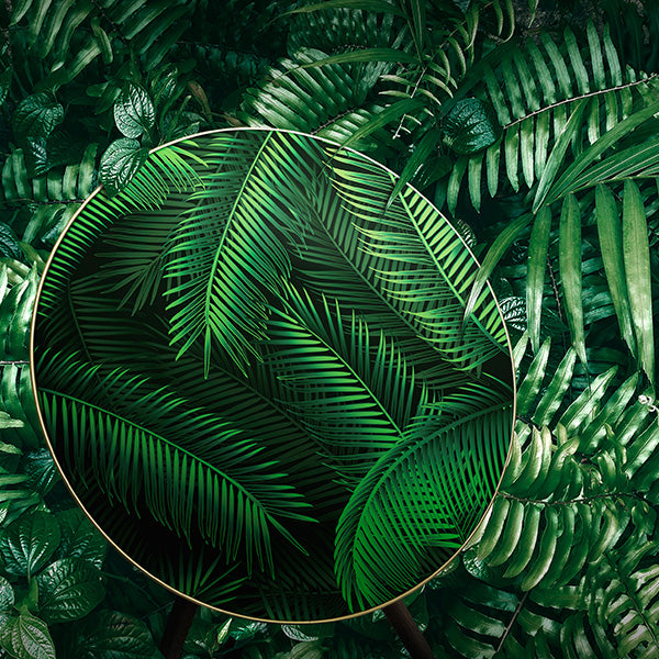 BeoPlay / BeoSound A9 Cover - Palm