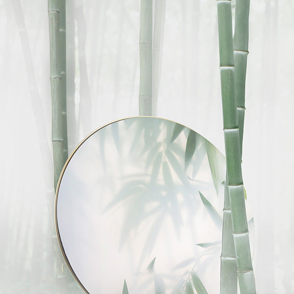 BeoPlay / BeoSound A9 Cover - Paradise Fog