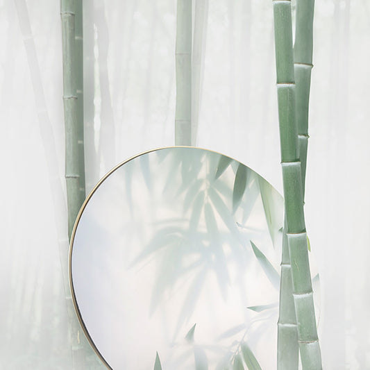 BeoPlay / BeoSound A9 Cover - Paradise Fog