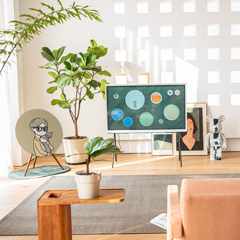 BeoPlay / BeoSound A9 Cover - Cat
