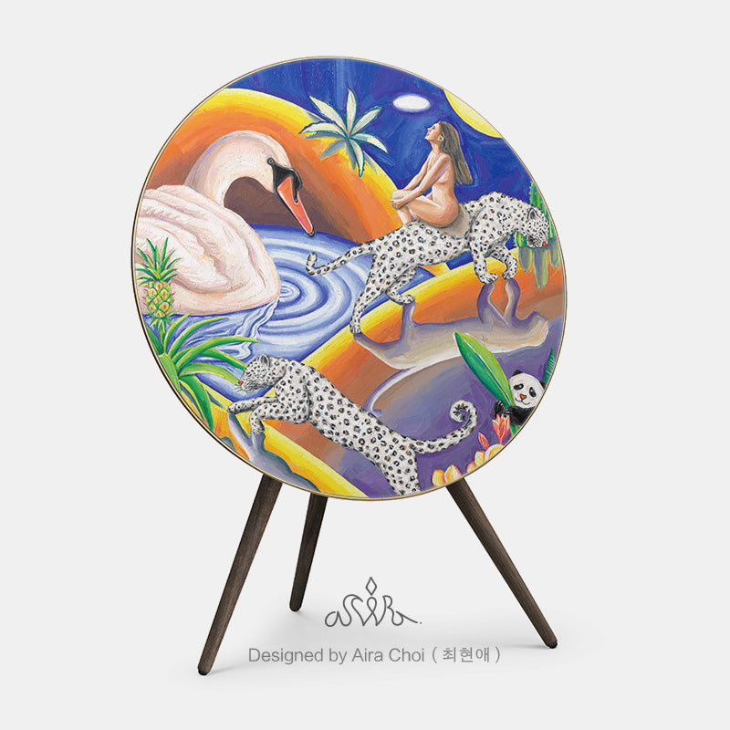 BeoPlay / BeoSound A9 Cover - Towards Paradise