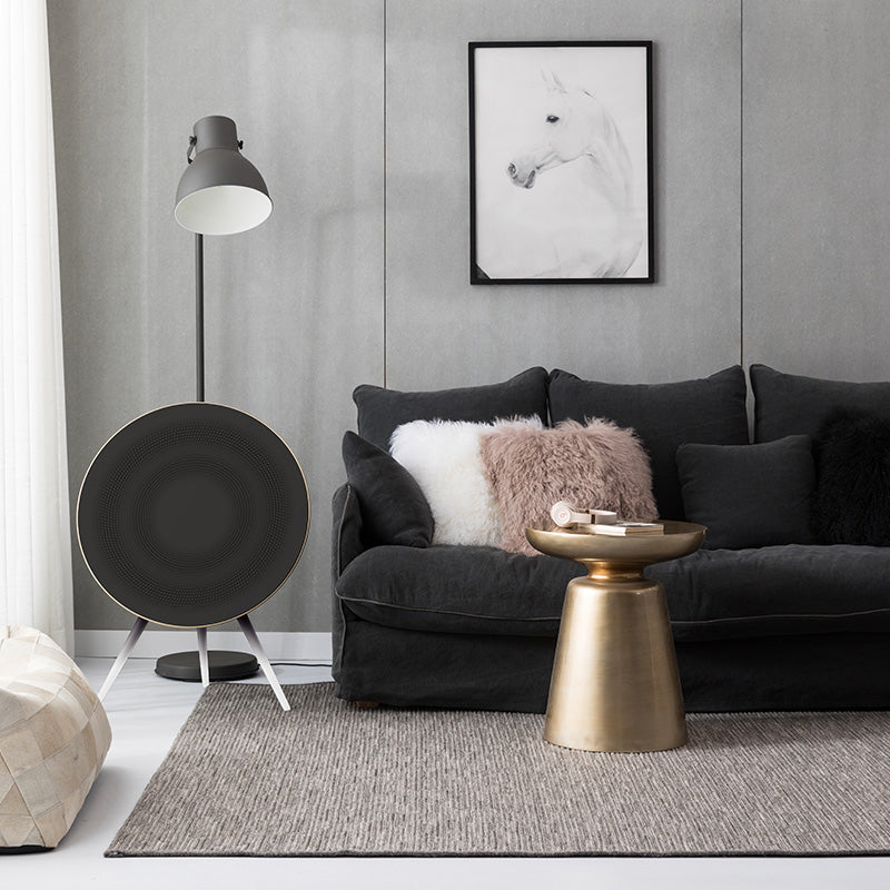 BeoPlay / BeoSound A9 Cover - Wobble
