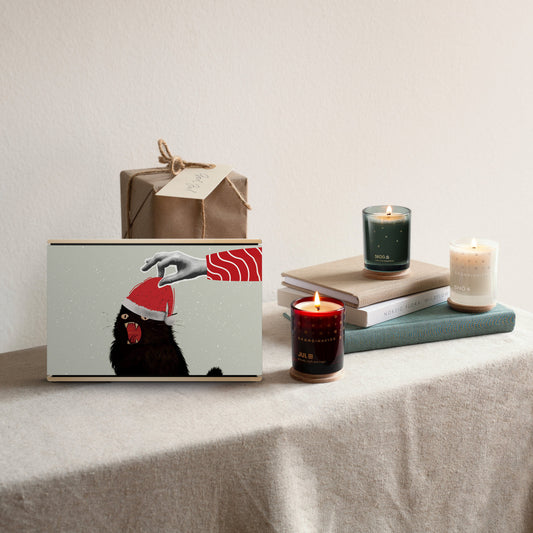 BeoSound Level Cover - Festive Rebel