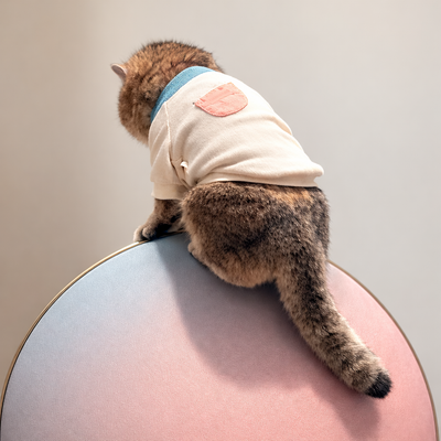 Custom fabric cover installed on Bang & Olufsen Beoplay A9 / Beosound A9 speaker