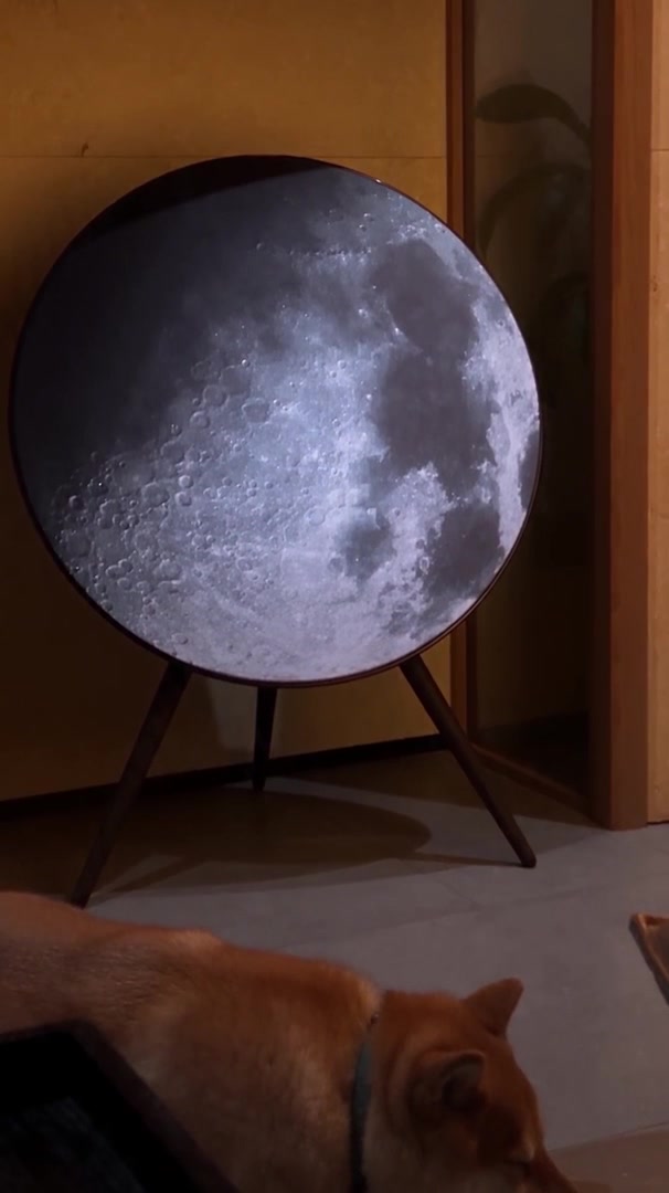 A Bang & Olufsen Beoplay A9 speaker on tripod legs wearing a Tegrino full-moon cover in a warm Japandi room, a Shiba Inu dozing on the floor in front of it.